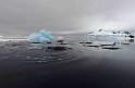 2013-02-13 Antarctic minke 9777a